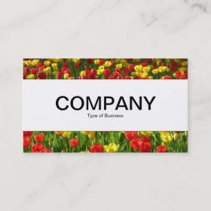 Cartão De Visita Banda central - Mar de Tulips III