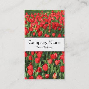 Cartão De Visita Banda central - Tulipas vermelhas