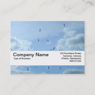 Cartão De Visita Banda de Textura V2 - Céu e gaivotas