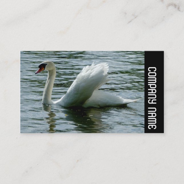 Cartão De Visita Banda lateral - Cisne (Frente)