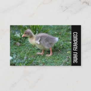 Cartão De Visita Banda lateral - Dissolver 02