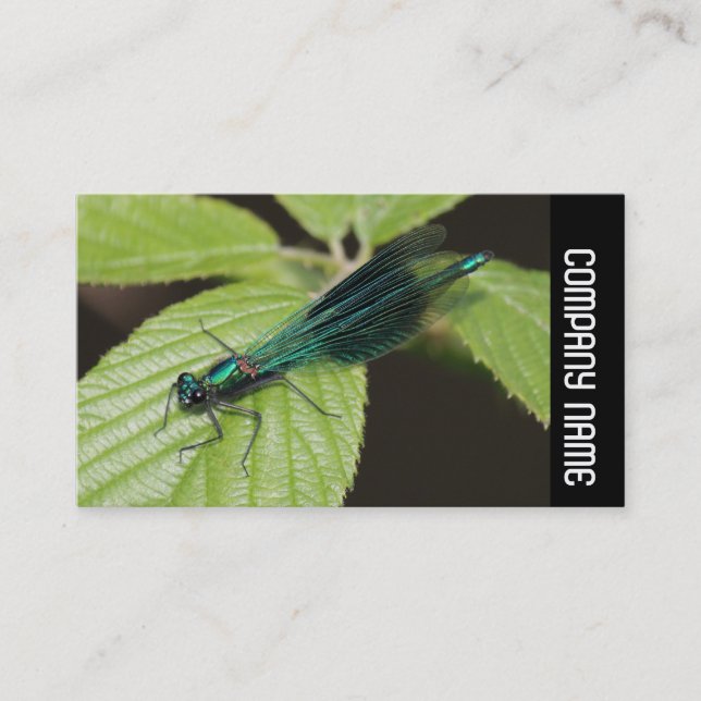Cartão De Visita Banda lateral - Dragonfly (Frente)