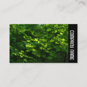 Cartão De Visita Banda lateral - Folhas na Primavera