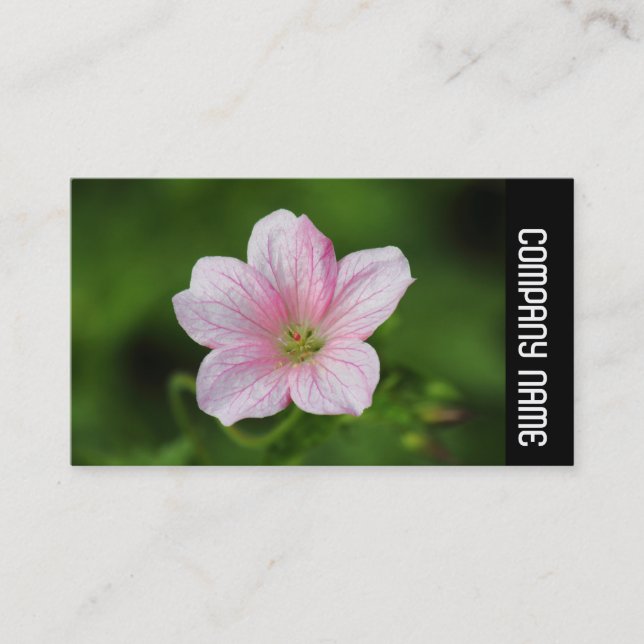 Cartão De Visita Banda lateral - Geranium (Frente)
