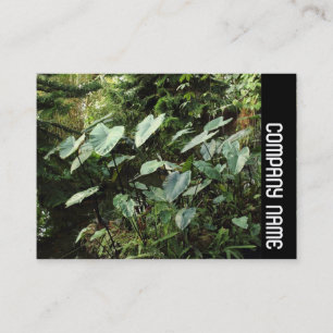 Cartão De Visita Banda lateral - Jardins botânicos