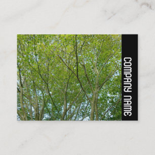 Cartão De Visita Banda lateral - Mapeamento japonês