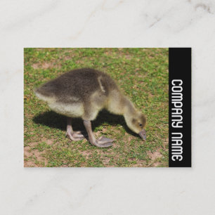 Cartão De Visita Banda lateral - Obstrução