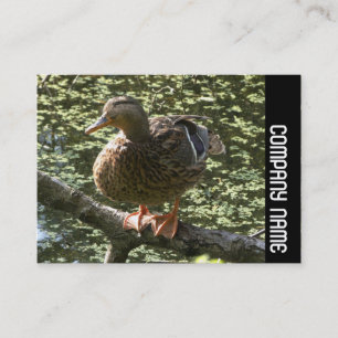 Cartão De Visita Banda lateral - Pato feliz