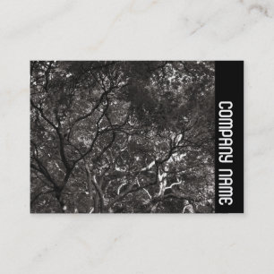 Cartão De Visita Banda lateral - Ramificações japonesas 01