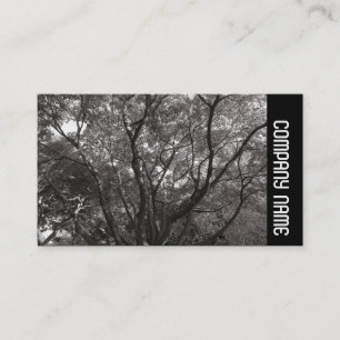 Cartão De Visita Banda lateral - Ramificações japonesas 02