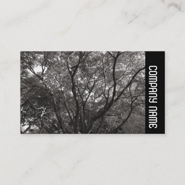 Cartão De Visita Banda lateral - Ramificações japonesas 02 (Frente)