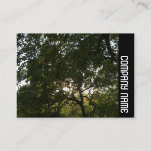 Cartão De Visita Banda lateral - Ramificações japonesas 04