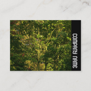 Cartão De Visita Banda lateral - Ramificações japonesas 05