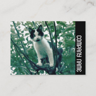 Cartão De Visita Banda lateral - Superfluidade da travessura