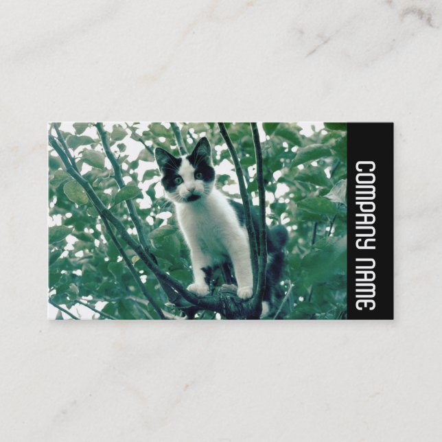 Cartão De Visita Banda lateral - Superfluidade da travessura (Frente)