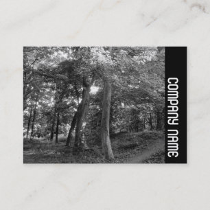 Cartão De Visita Banda lateral - Verão na floresta