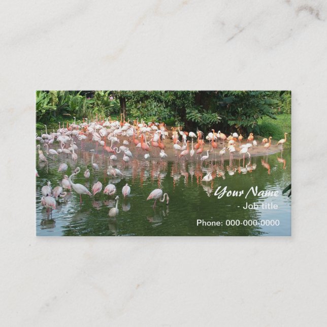 Cartão De Visita bando flamingo rosa (Frente)