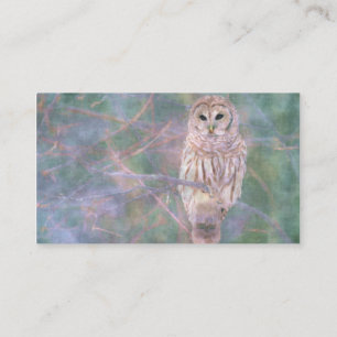 Cartão De Visita Barred Owl Pastel Oilpainting