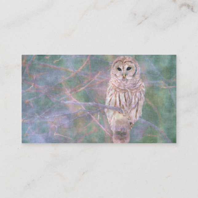 Cartão De Visita Barred Owl Pastel Oilpainting (Verso)