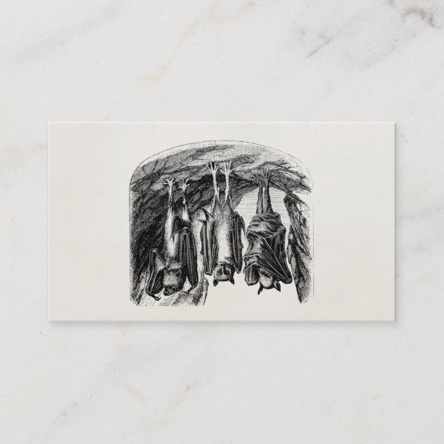 Cartão De Visita Bastão do Fox de vôo dos 1800s do bastão do (Frente)