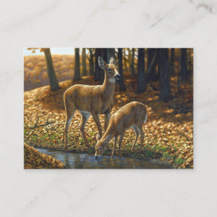 Cartão De Visita Bebendo Whitetail Doe e Fawn de um Fluxo
