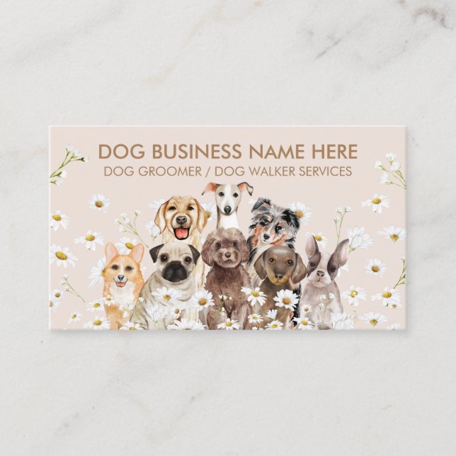 Cartão De Visita Beige Daisy Flowers Pet Sitter Dog Walker (Frente)