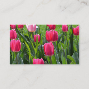 Cartão De Visita belas flores de tulipa rosa da primavera. jardim f