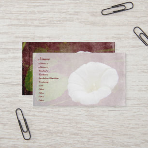 Cartão De Visita Bindweed Branco - A Glória da Manhã Perene Selva