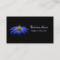 Blue Daisy Gerbera Flower em preto