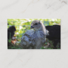 Cartão De Visita Bluebell