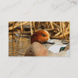 Cartão De Visita Bonito estranho na cidade de Eurasian Wigeon
