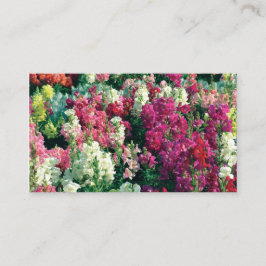 Cartão De Visita bonito flores coloridas do jardim