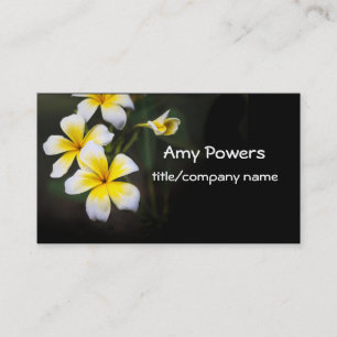 Cartão De Visita bonito Plumeria floresce fotografia de flores