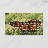 Borboleta Viceroy Belo Caráter Fotografia