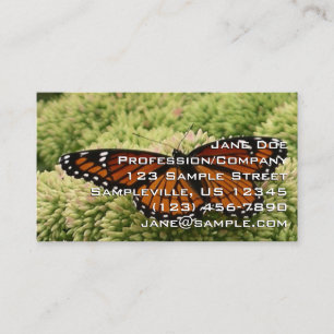 Cartão De Visita Borboleta Viceroy Fotografia da Natureza Bonita