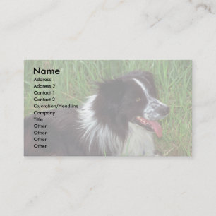 Cartão De Visita Borda Collie na grama