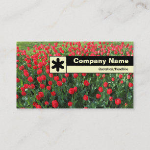 Cartão De Visita Borda rotulada - Cama de Tulipas Vermelhas 01