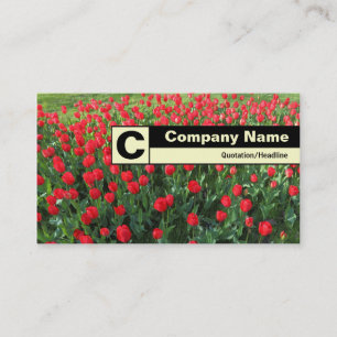 Cartão De Visita Bordo identificado como Monograma - Cama de Tulipa