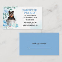Bota-Foca-Foca-Foca, Terrier Pet Groomer Spa Nomea
