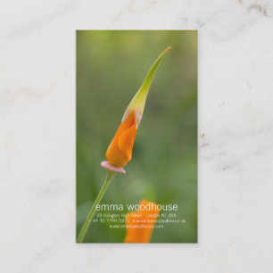 Cartão De Visita Botão alaranjado da papoila de Califórnia