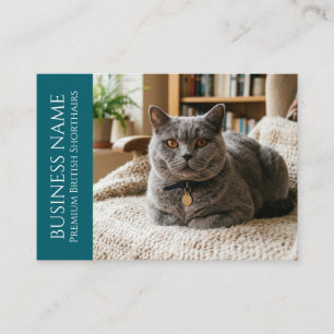 Cartão De Visita British Shorthair Minimalista Personalizável