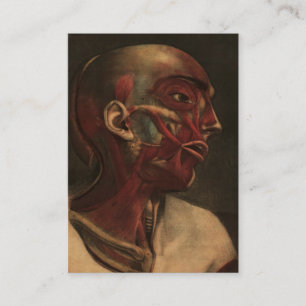 Cartão De Visita Cabeça, pescoço, e ombros da anatomia do vinta