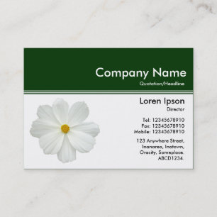 Cartão De Visita Cabeçalho de cor III v2 - Verde escuro - Cosmos br