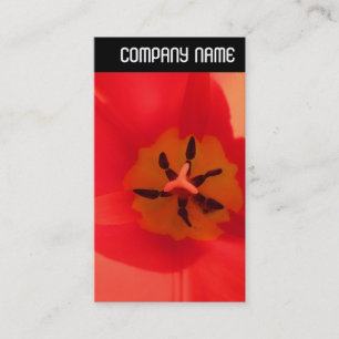 Cartão De Visita Cabeçalho V - Dentro a Tulip