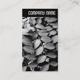 Cartão De Visita Cabeçalho V - Folhas