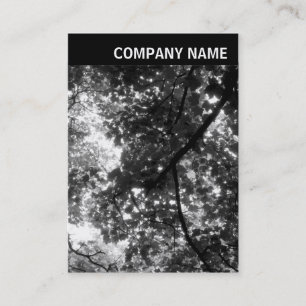 Cartão De Visita Cabeçalho V - Foto - Árvores no Primavera