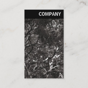 Cartão De Visita Cabeçalho V - Ramificações Japonesas 01