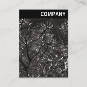 Cartão De Visita Cabeçalho V - Ramificações Japonesas 01