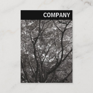 Cartão De Visita Cabeçalho V - Ramificações Japonesas 02