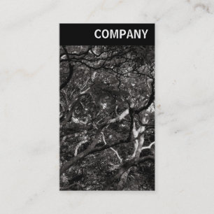 Cartão De Visita Cabeçalho V - Ramificações Japonesas 03